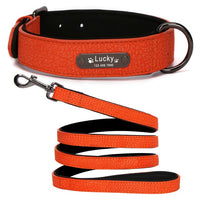 Custom Leather Collar for Small/Medium-Sized Dogs