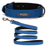 Custom Leather Collar for Small/Medium-Sized Dogs