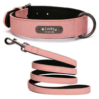 Custom Leather Collar for Small/Medium-Sized Dogs