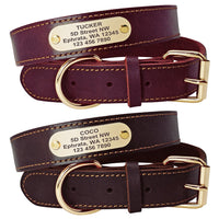 Customizable Leather Dog Collar