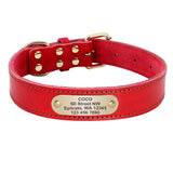 Customizable Leather Dog Collar