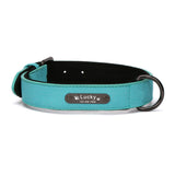 Custom Leather Collar for Small/Medium-Sized Dogs