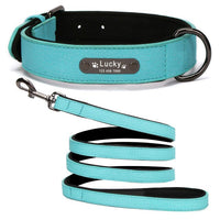 Custom Leather Collar for Small/Medium-Sized Dogs