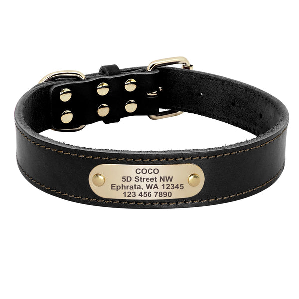 Customizable Leather Dog Collar