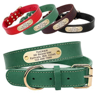 Customizable Leather Dog Collar