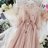 Quaint Fairy Dress