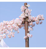 Cherry Blossom Garland